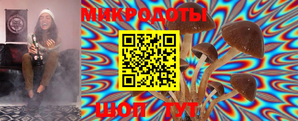 Тула  Псилоцибиновые грибы мухоморы  Вход с VPN 