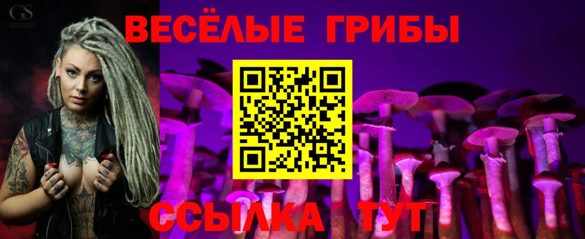 Галлюциногенные грибы мицелий Тула